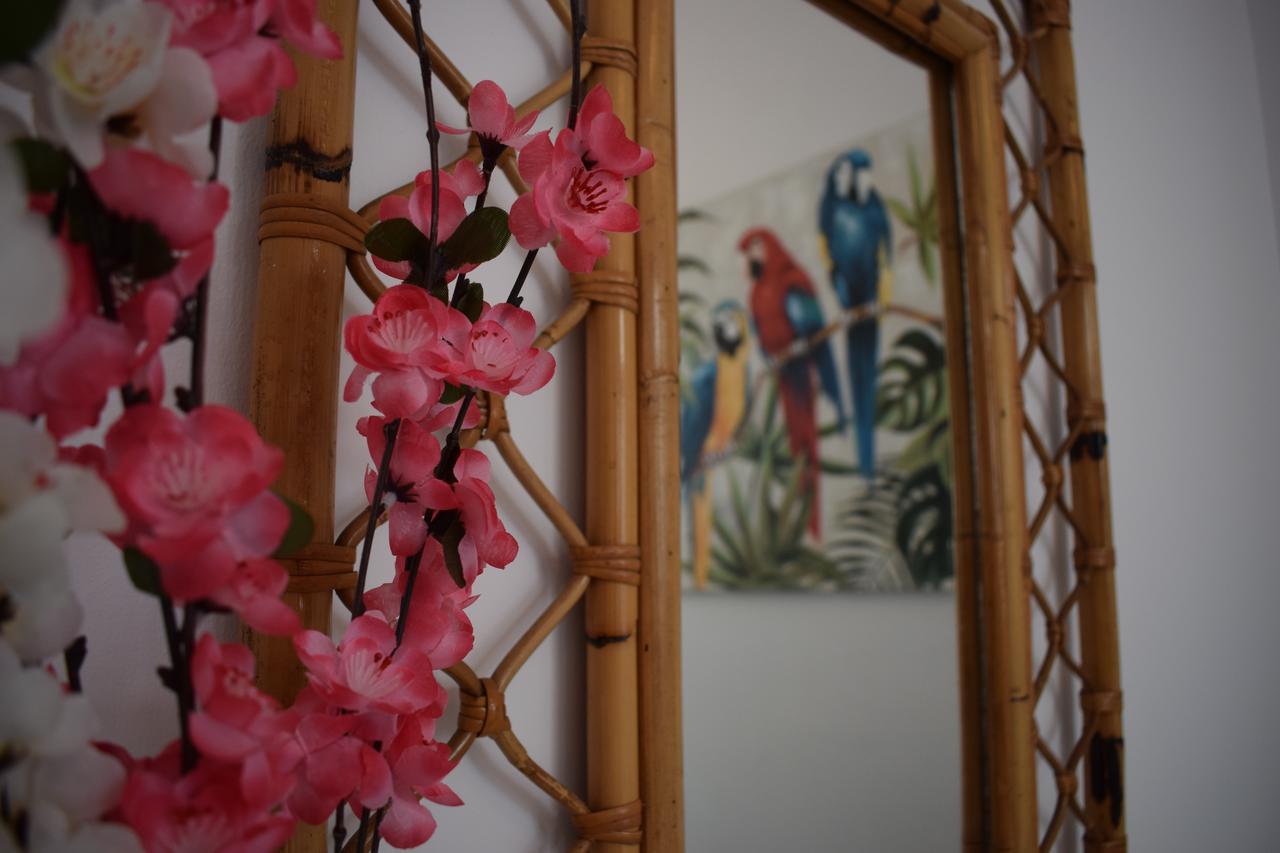 Casa Cinzia Bed & Breakfast Las Palmas de Gran Canaria Bagian luar foto